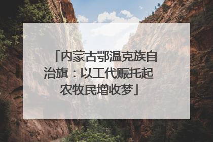 内蒙古鄂温克族自治旗：以工代赈托起农牧民增收梦