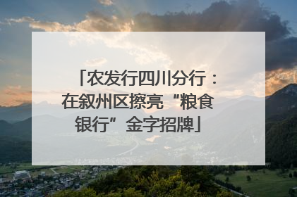 农发行四川分行：在叙州区擦亮“粮食银行”金字招牌