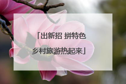 出新招 拼特色 乡村旅游热起来