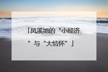 凤溪地的“小经济”与“大情怀”