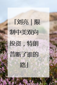 刘亮｜限制中美双向投资，特朗普断了谁的路