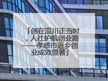 创在澴川正当时，人社护航创业路——孝感市返乡创业成效显著