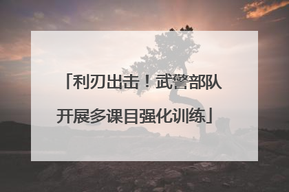 利刃出击！武警部队开展多课目强化训练