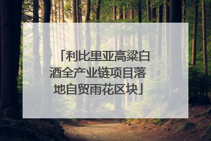 利比里亚高粱白酒全产业链项目落地自贸雨花区块