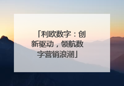 利欧数字：创新驱动，领航数字营销浪潮