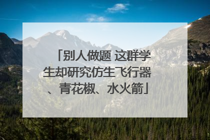 别人做题 这群学生却研究仿生飞行器、青花椒、水火箭