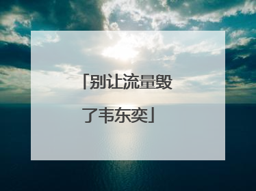 别让流量毁了韦东奕