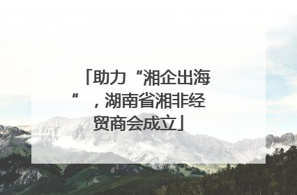 助力“湘企出海”，湖南省湘非经贸商会成立