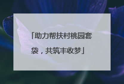 助力帮扶村桃园套袋，共筑丰收梦