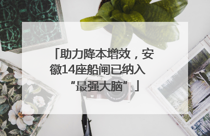 助力降本增效，安徽14座船闸已纳入“最强大脑”