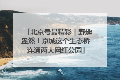 北京号最精彩｜野趣盎然！京城这个生态桥连通两大网红公园