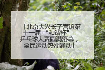 北京大兴长子营镇第十一届 “和谐杯” 乒乓球大赛圆满落幕，全民运动热潮涌动
