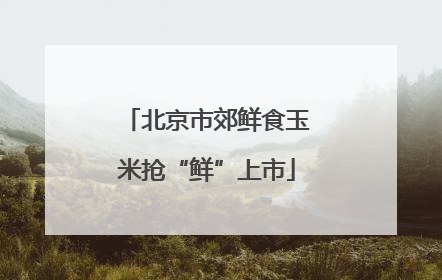 北京市郊鲜食玉米抢“鲜”上市