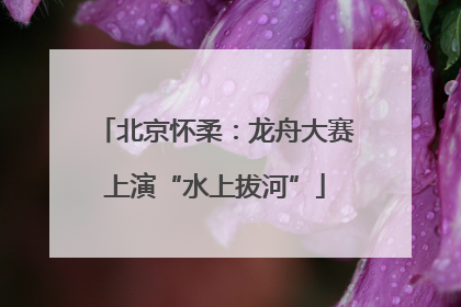 北京怀柔：龙舟大赛上演“水上拔河”
