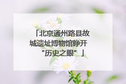 北京通州路县故城遗址博物馆睁开“历史之眼”