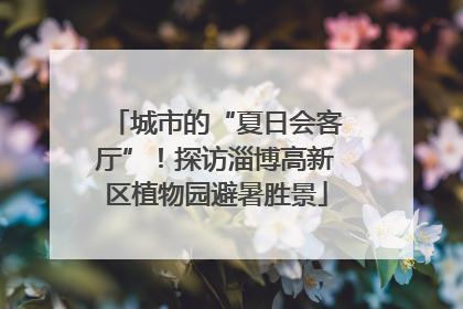 城市的“夏日会客厅”！探访淄博高新区植物园避暑胜景