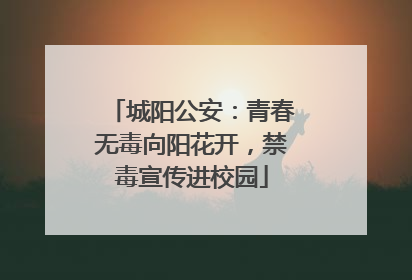 城阳公安：青春无毒向阳花开，禁毒宣传进校园