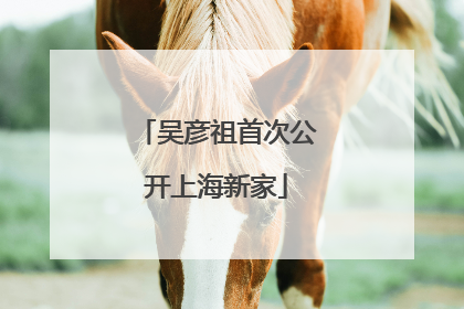 吴彦祖首次公开上海新家