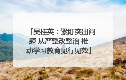 吴桂英：紧盯突出问题 从严整改整治 推动学习教育见行见效