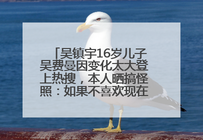 吴镇宇16岁儿子吴费曼因变化太大登上热搜，本人晒搞怪照：如果不喜欢现在的我可以离开