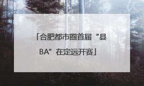 合肥都市圈首届“县BA”在定远开赛