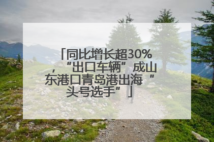 同比增长超30%，“出口车辆”成山东港口青岛港出海“头号选手”