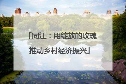 同江：用绽放的玫瑰 推动乡村经济振兴