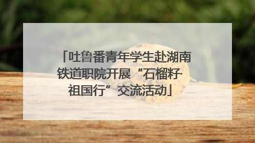 吐鲁番青年学生赴湖南铁道职院开展“石榴籽·祖国行”交流活动