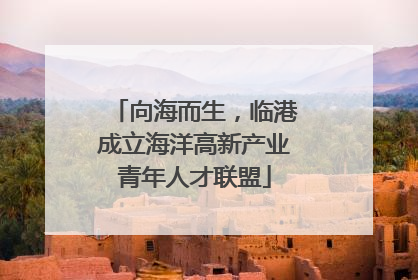 向海而生，临港成立海洋高新产业青年人才联盟