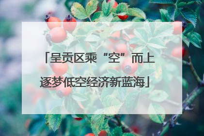 呈贡区乘“空”而上 逐梦低空经济新蓝海