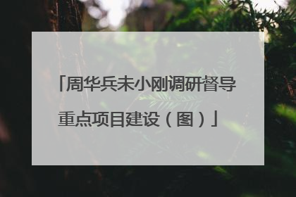 周华兵未小刚调研督导重点项目建设（图）