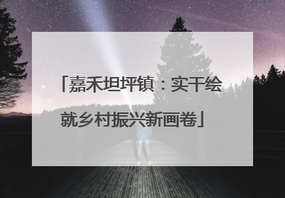 嘉禾坦坪镇：实干绘就乡村振兴新画卷