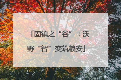 固镇之“谷”：沃野“智”变筑粮安