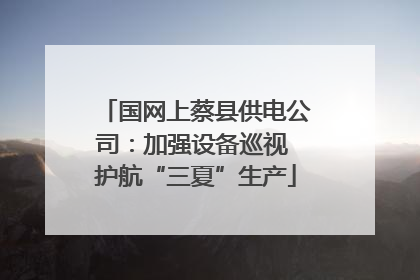 国网上蔡县供电公司：加强设备巡视 护航“三夏”生产
