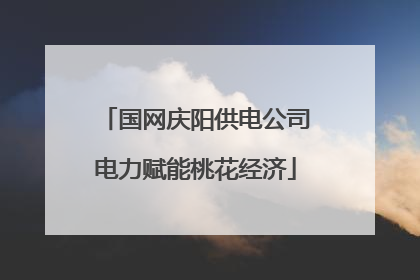 国网庆阳供电公司电力赋能桃花经济