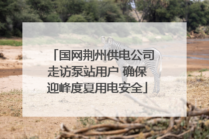 国网荆州供电公司走访泵站用户 确保迎峰度夏用电安全