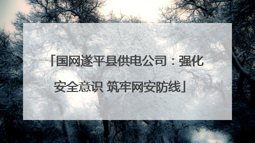 国网遂平县供电公司：强化安全意识 筑牢网安防线
