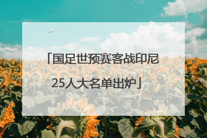 国足世预赛客战印尼25人大名单出炉