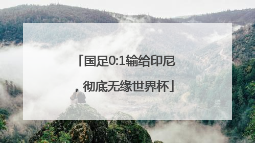 国足0:1输给印尼，彻底无缘世界杯