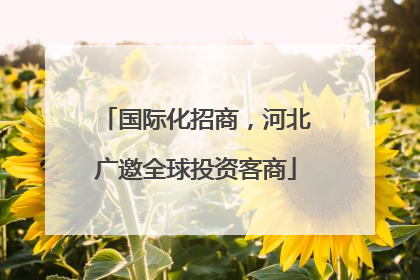 国际化招商，河北广邀全球投资客商