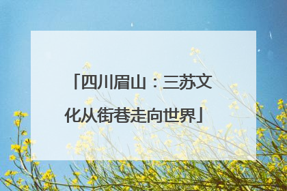 四川眉山：三苏文化从街巷走向世界
