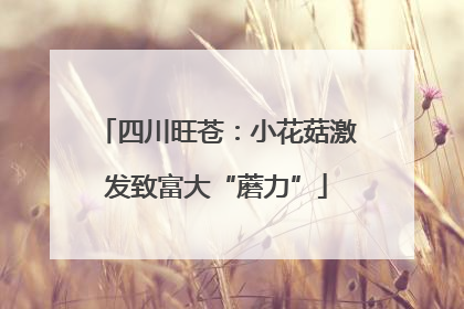 四川旺苍：小花菇激发致富大“蘑力”