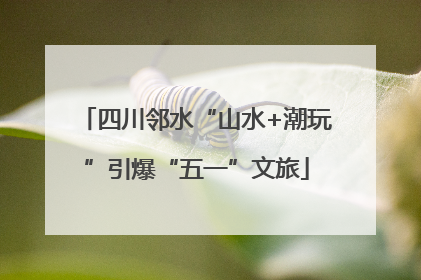 四川邻水“山水+潮玩”引爆“五一”文旅