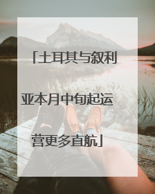 土耳其与叙利亚本月中旬起运营更多直航