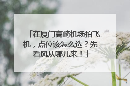 在厦门高崎机场拍飞机，点位该怎么选？先看风从哪儿来！