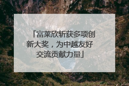 富莱欣斩获多项创新大奖，为中越友好交流贡献力量