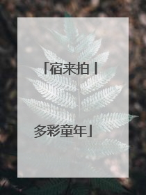 宿来拍丨多彩童年