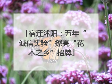 宿迁沭阳：五年“诚信实验”擦亮“花木之乡”招牌
