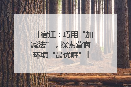 宿迁：巧用“加减法”，探索营商环境“最优解”