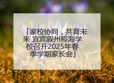 家校协同，共育未来 宜宾叙州樟海学校召开2025年春季学期家长会